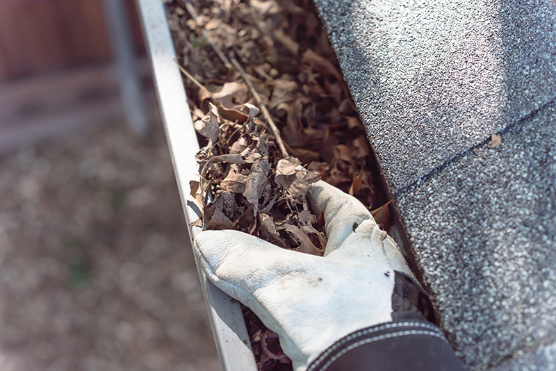 What Happens if You Don't Clean Out Your Gutters? - Patriot Services